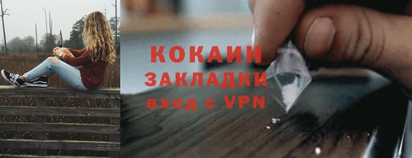 шишки Бикин