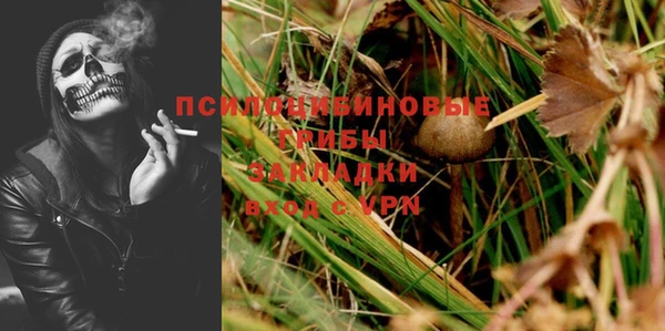 героин Пересвет