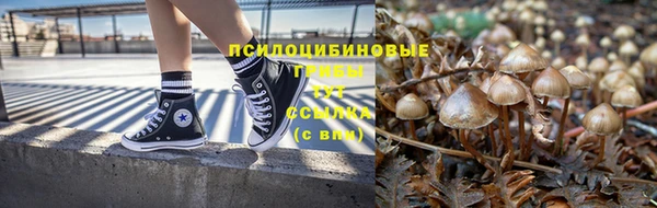 героин Пересвет