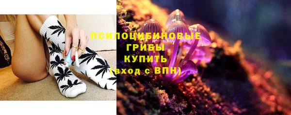 мдма Болотное