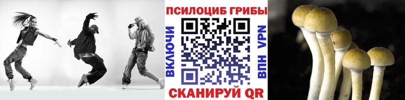 Псилоцибиновые грибы Psilocybe  Руза 